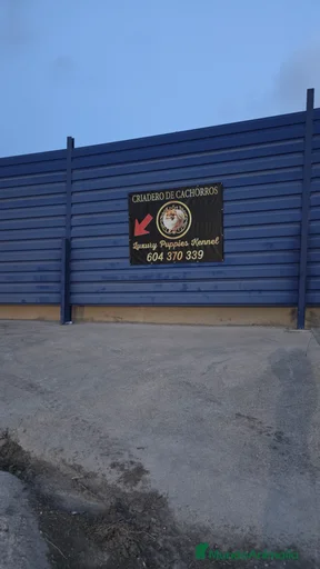 Imagen de galería {{count}}