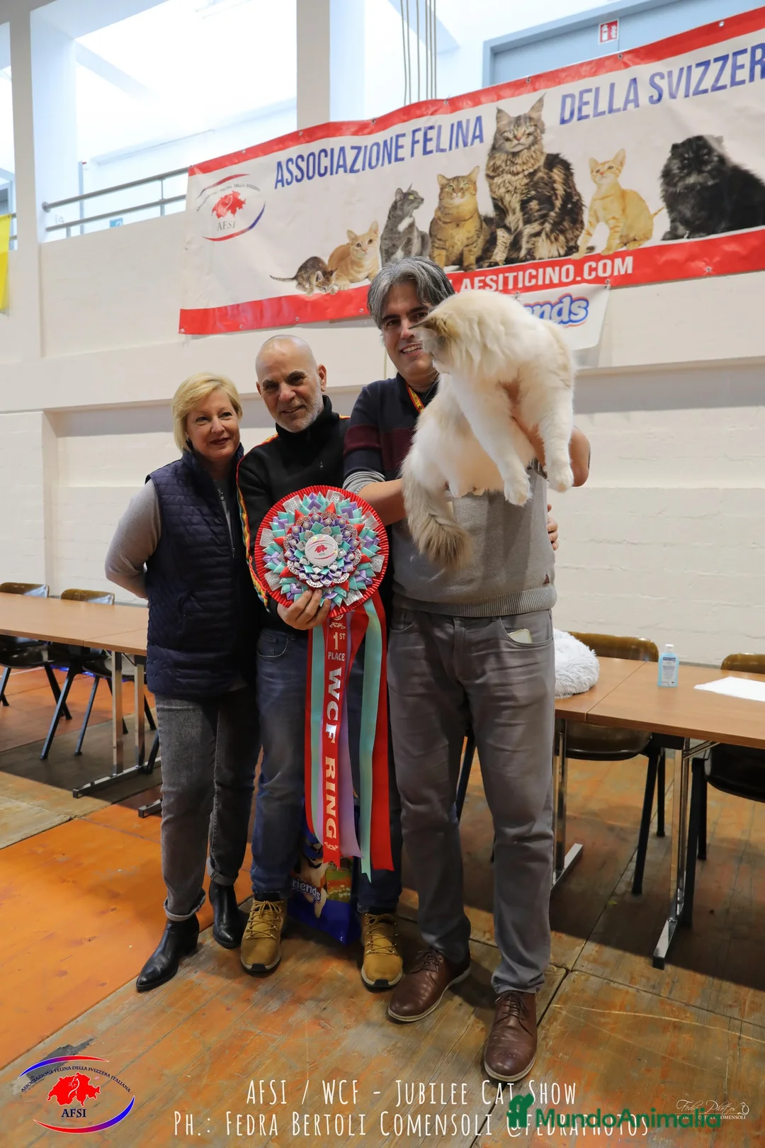 Imagen de galería {{count}}