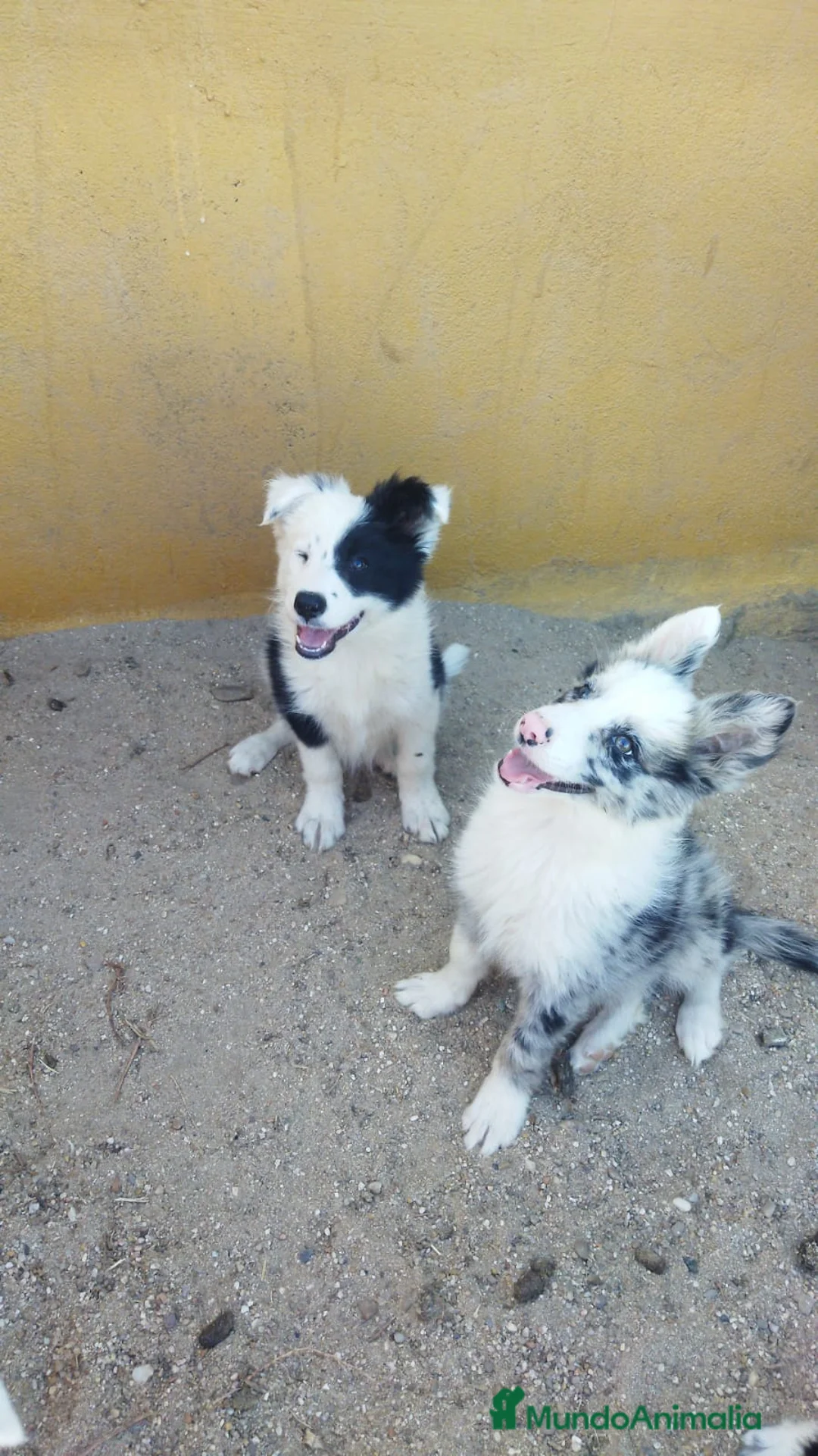 Imagen de galería {{count}}