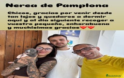 American Staffordshire-Terrier perros en venta: American Stanford (transparencia) - Anuncio 10