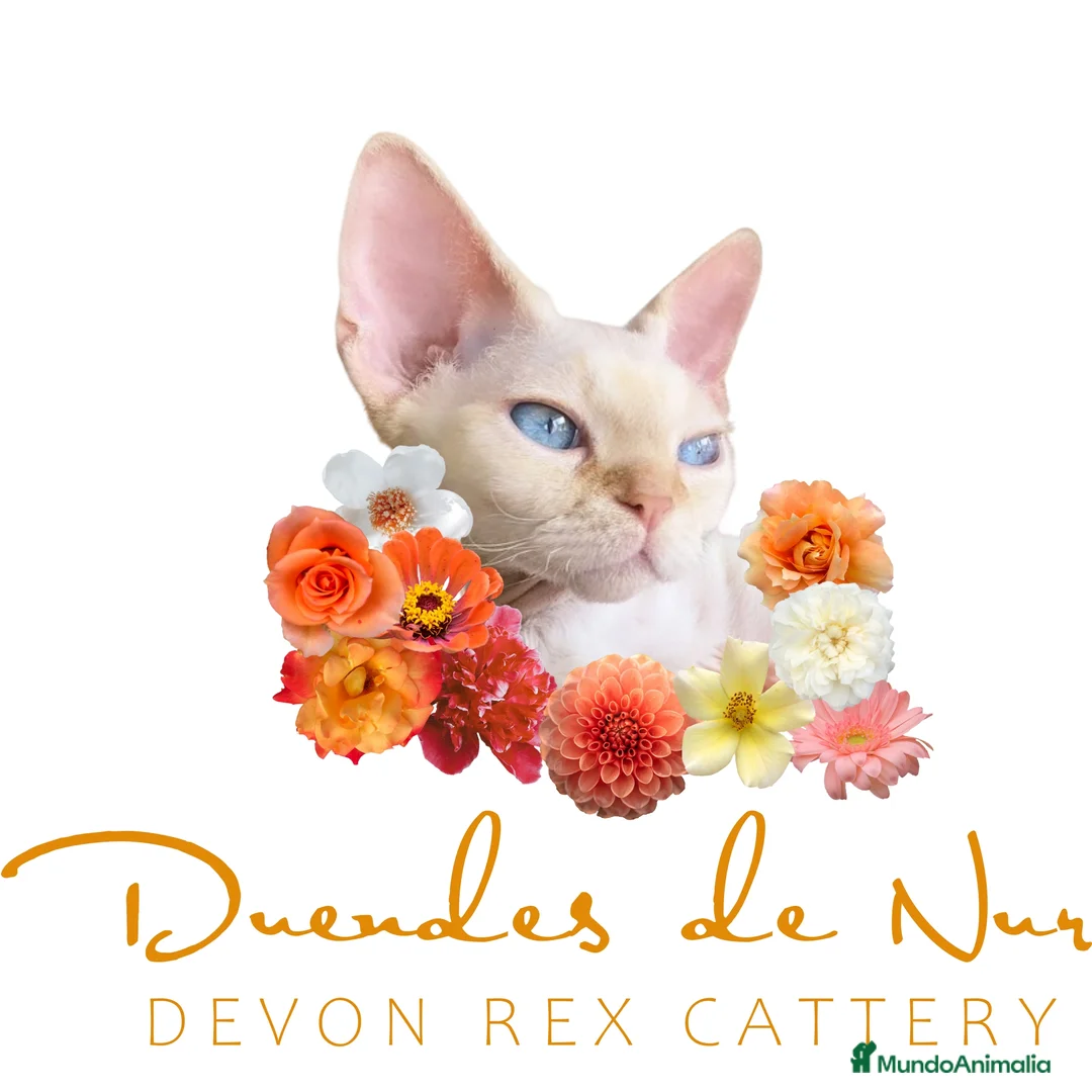 Imagen de galería {{count}}