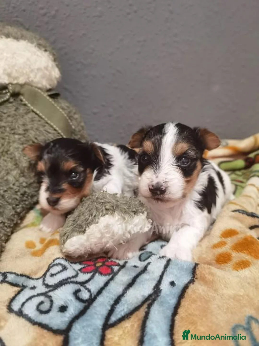 Imagen de galería {{count}}