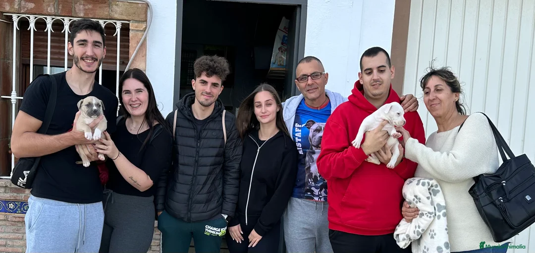 Imagen de galería {{count}}