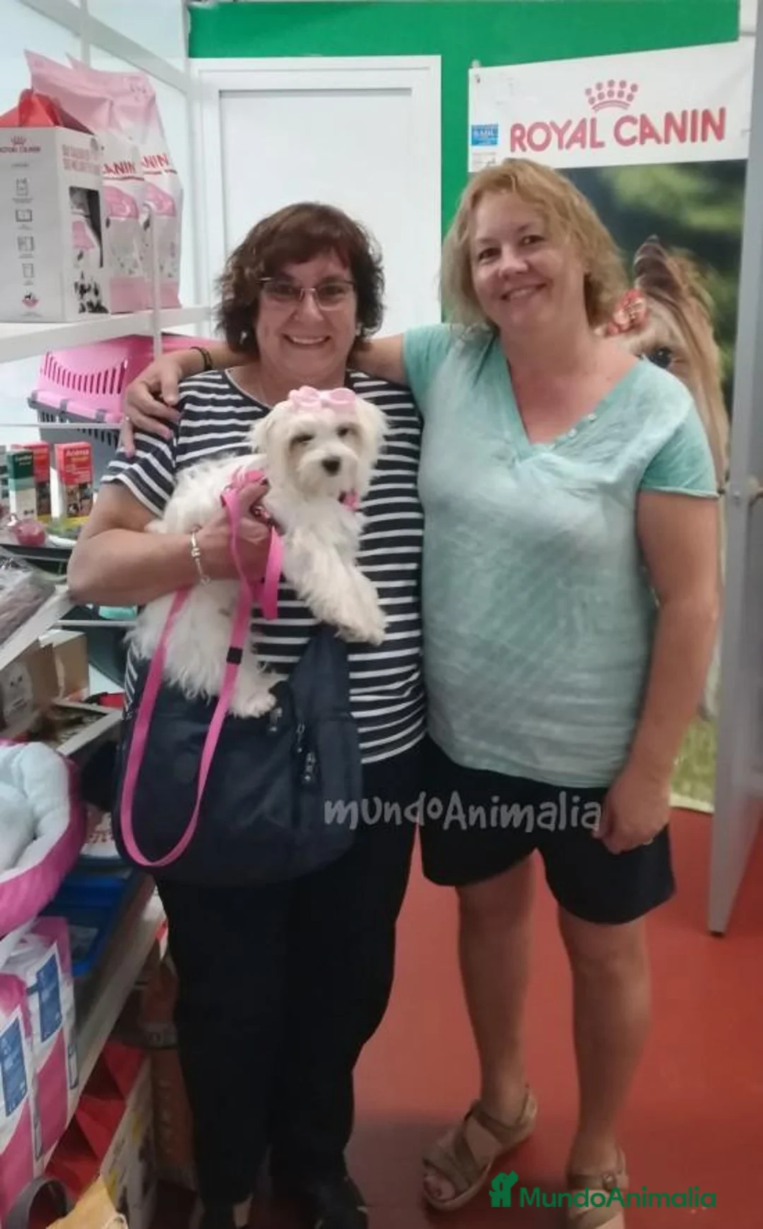 Imagen de galería {{count}}