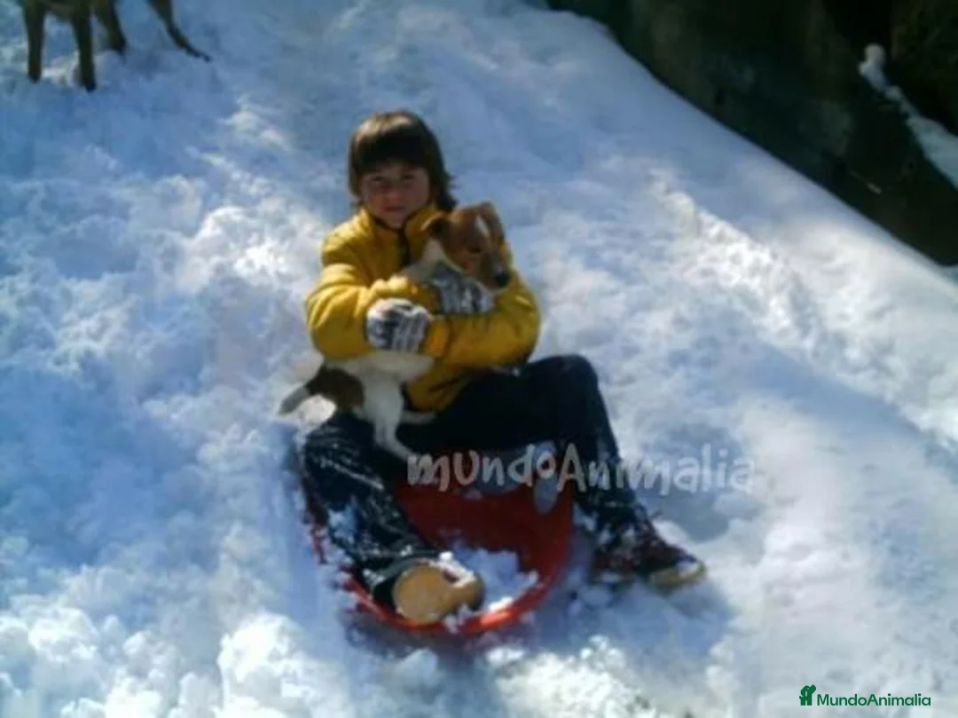 Imagen de galería {{count}}