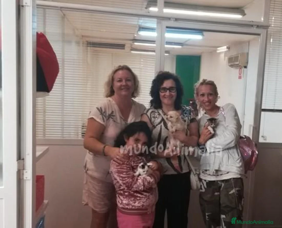 Imagen de galería {{count}}