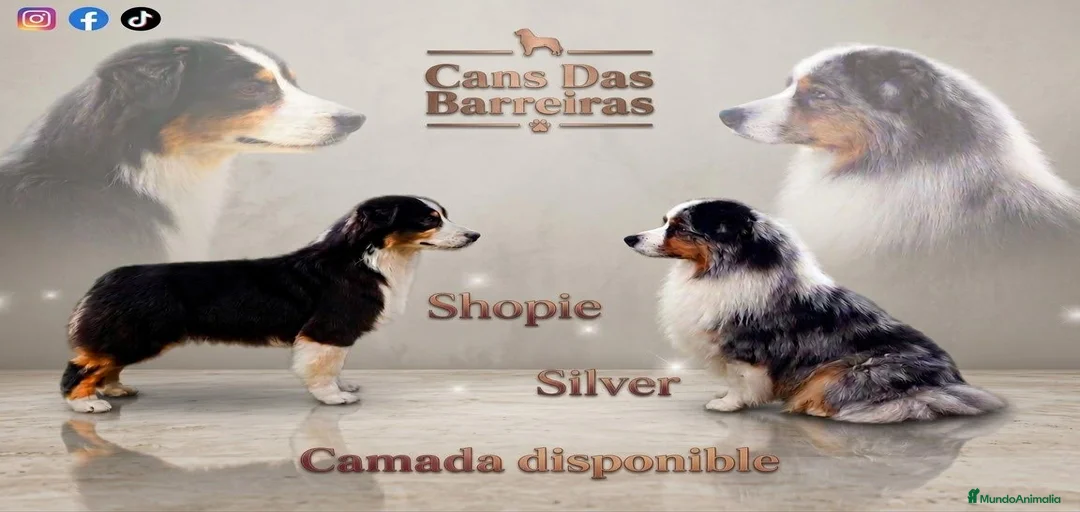 Imagen de galería {{count}}
