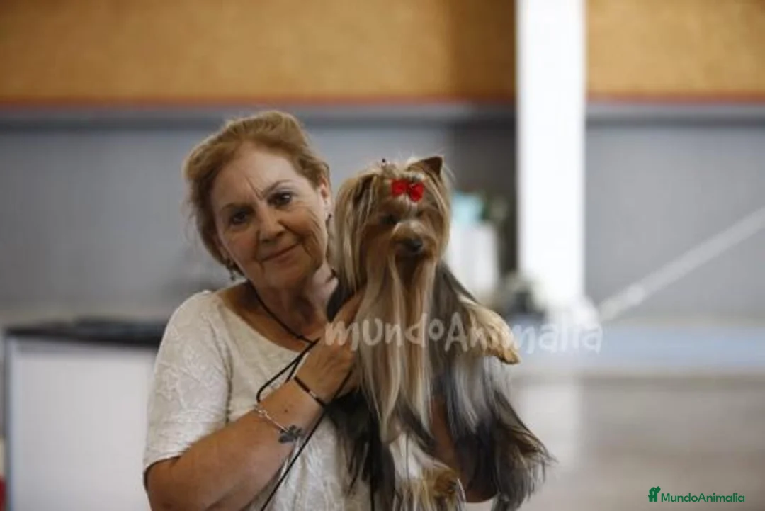 Imagen de galería {{count}}