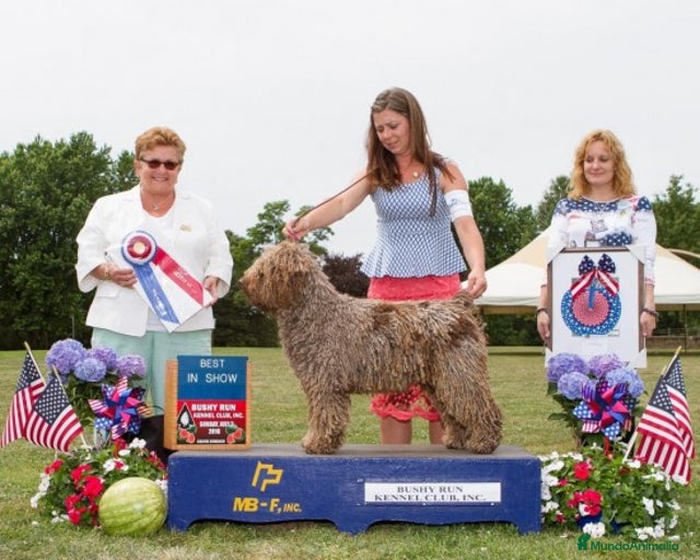 Imagen de galería {{count}}