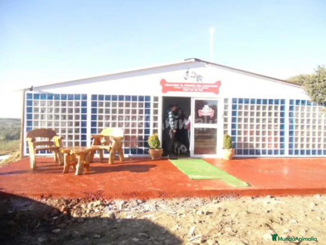 Imagen de galería {{count}}