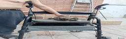 Pekinés perros en venta: Pekines - Anuncio 20