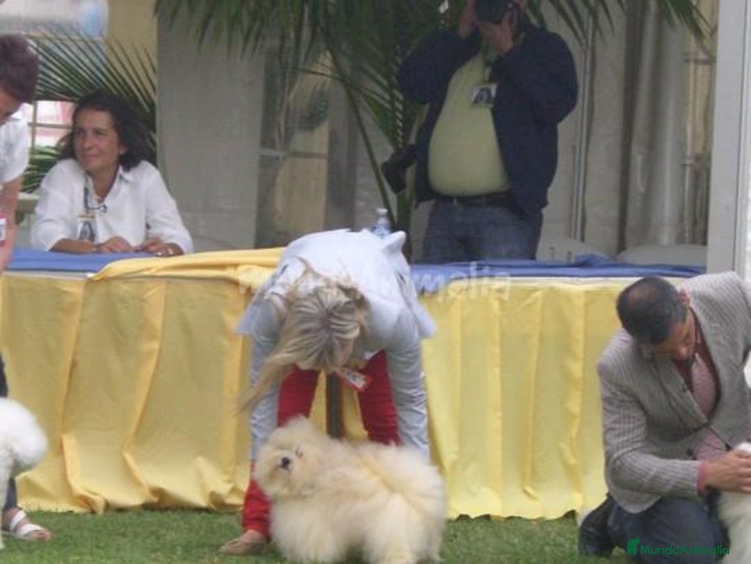 Imagen de galería {{count}}