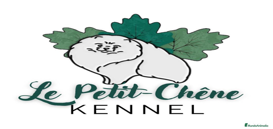 Imagen de galería {{count}}