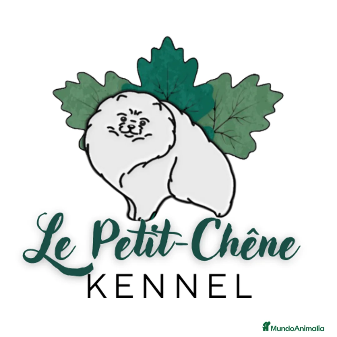 Imagen de galería {{count}}