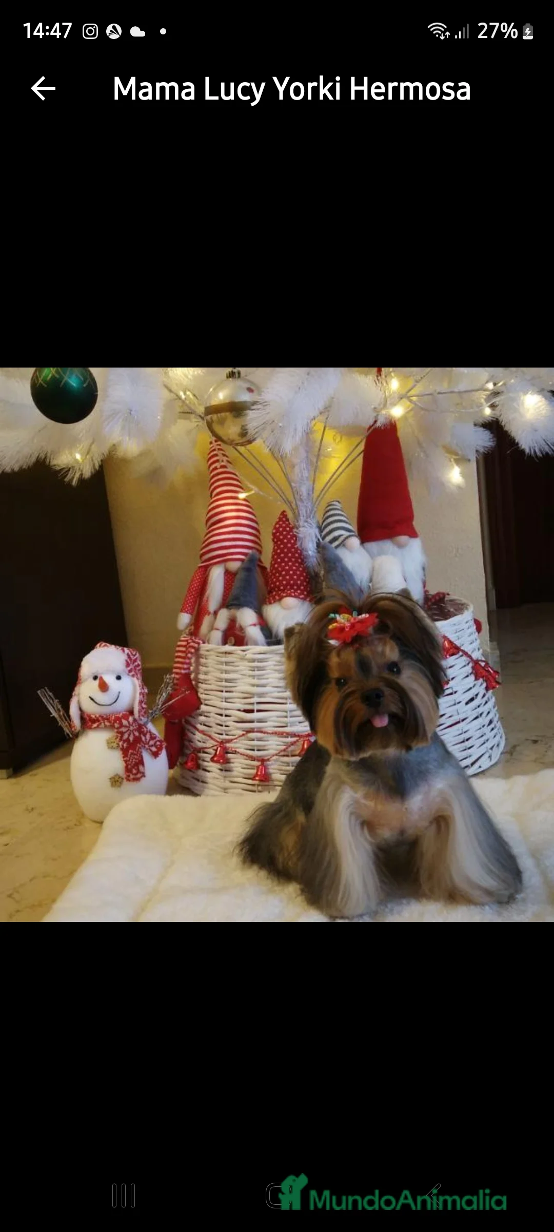 Imagen de galería {{count}}