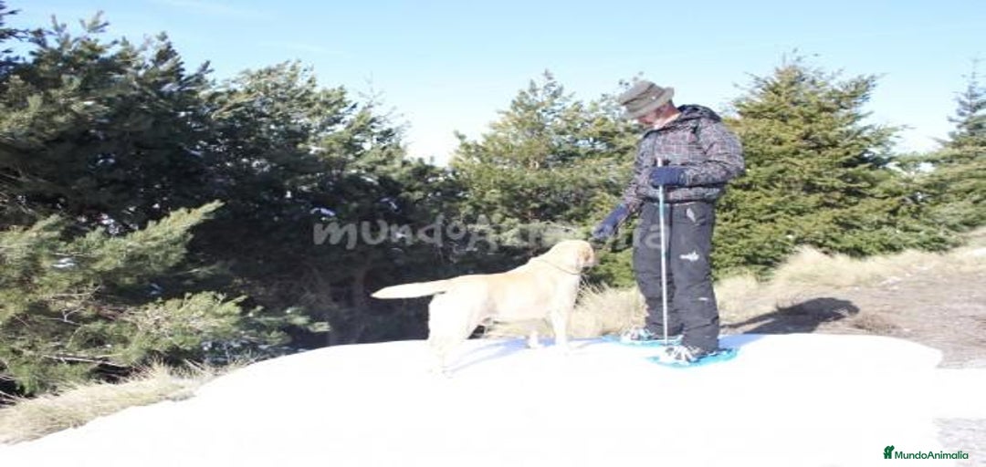 Imagen de galería {{count}}