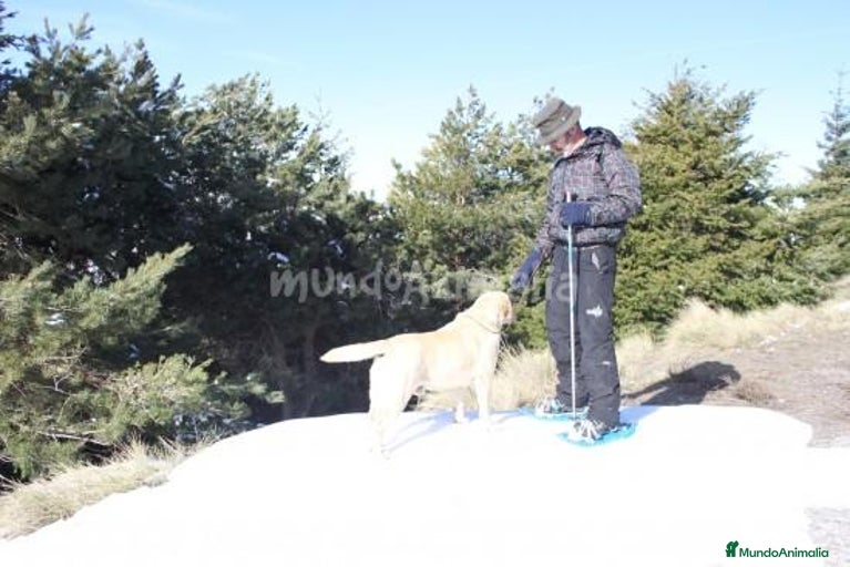 Imagen de galería {{count}}