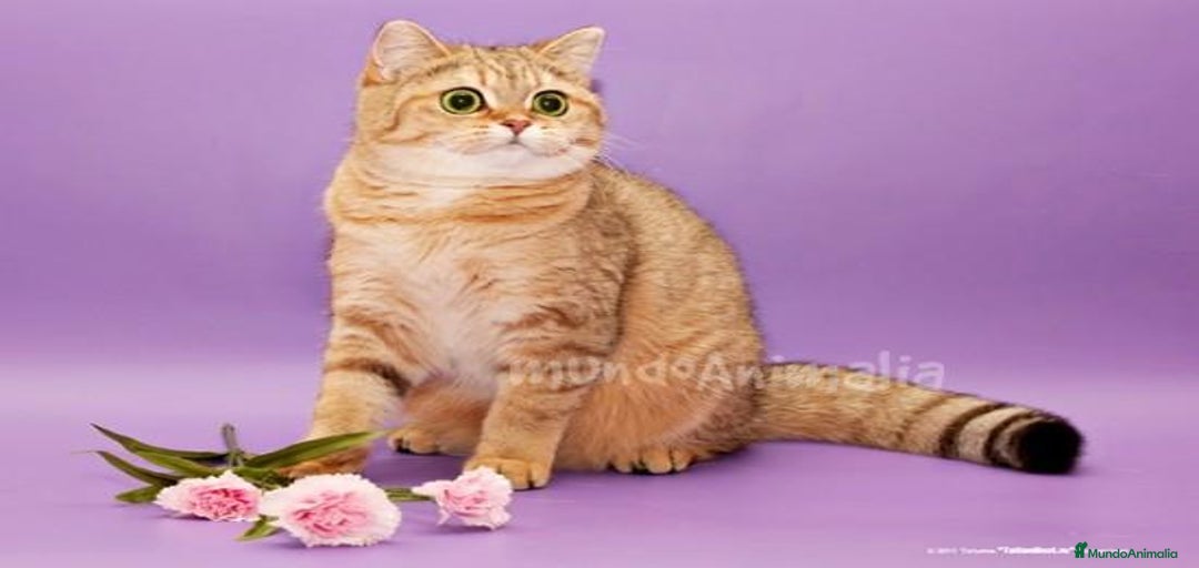 Imagen de galería {{count}}