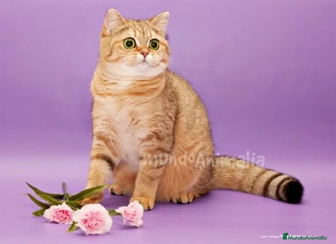 Imagen de galería {{count}}