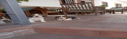 Beagle perros en venta: Beagles tricolores de calidad - Anuncio 1
