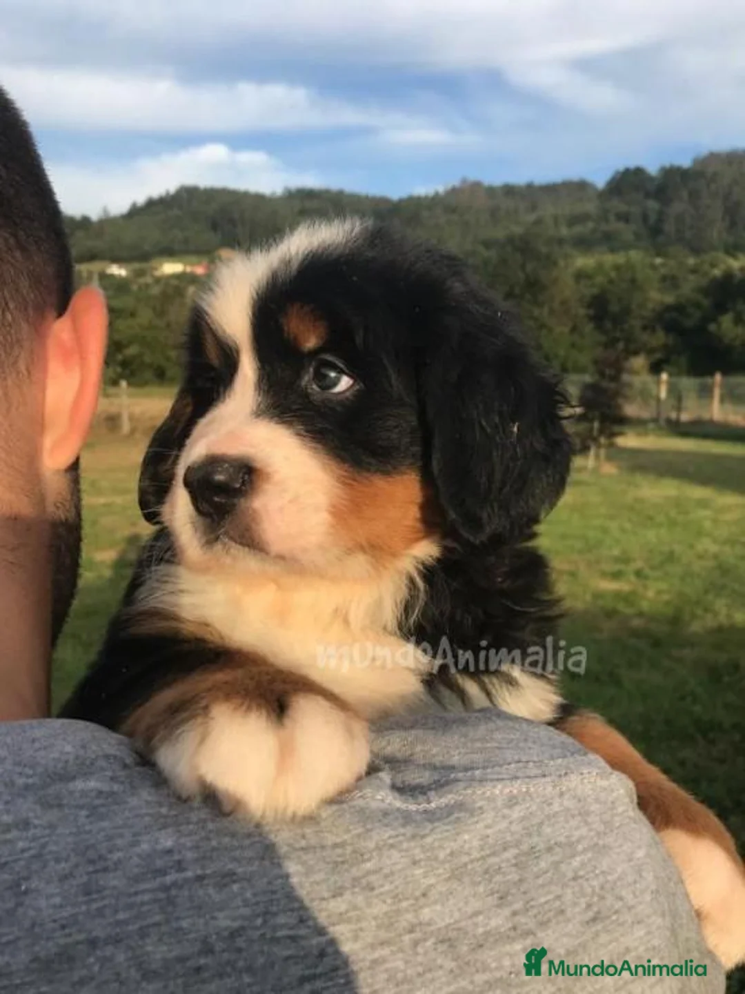 Imagen de galería {{count}}