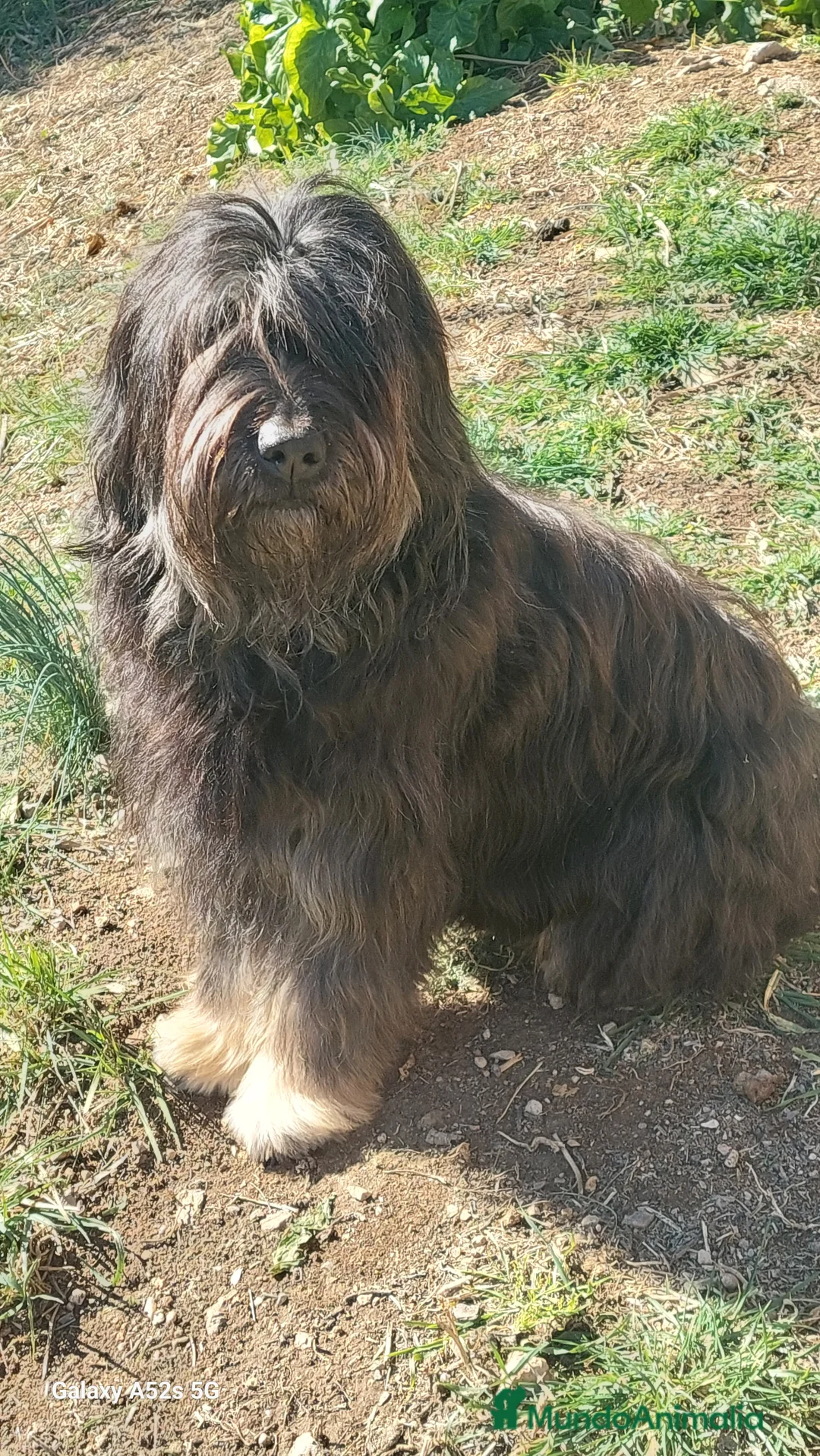 Imagen de galería {{count}}