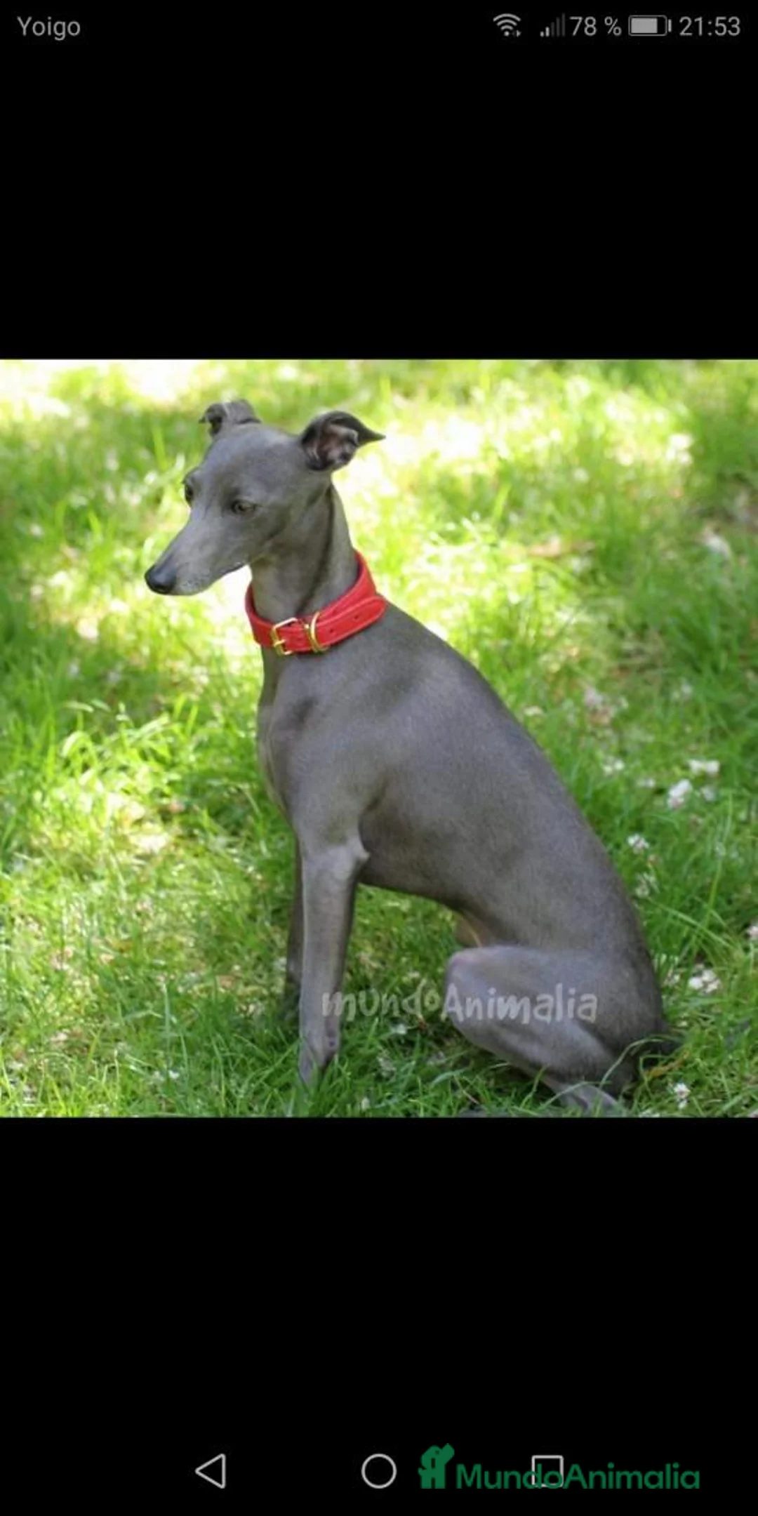 Imagen de galería {{count}}