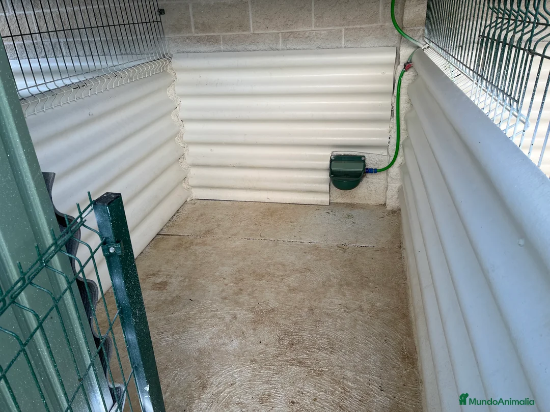 Imagen de galería {{count}}