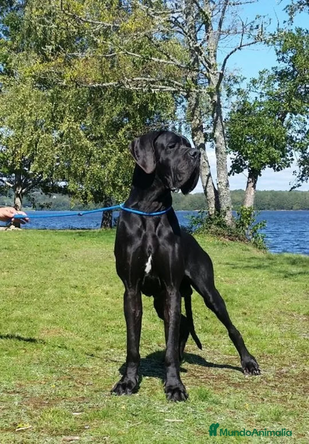 Imagen de galería {{count}}