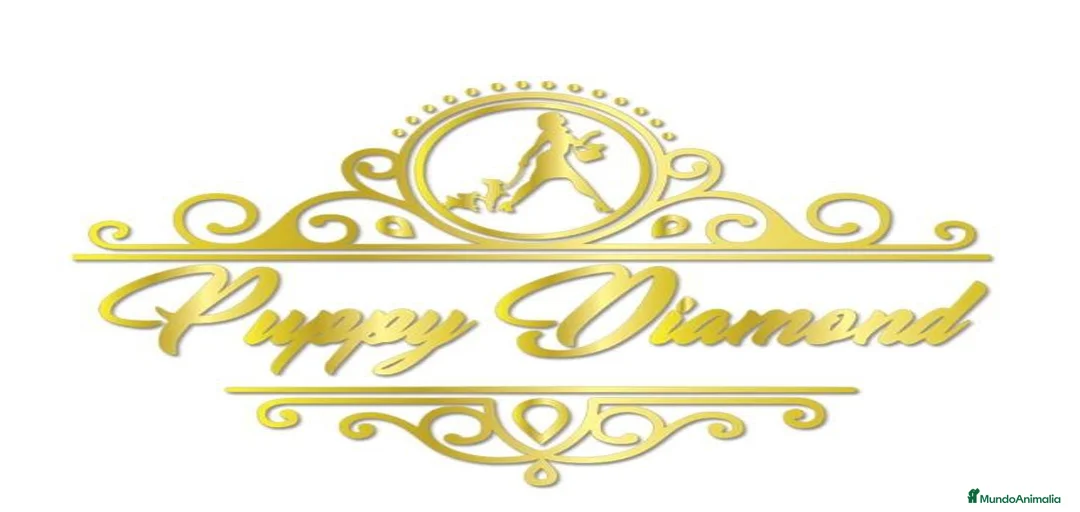 Imagen de galería {{count}}