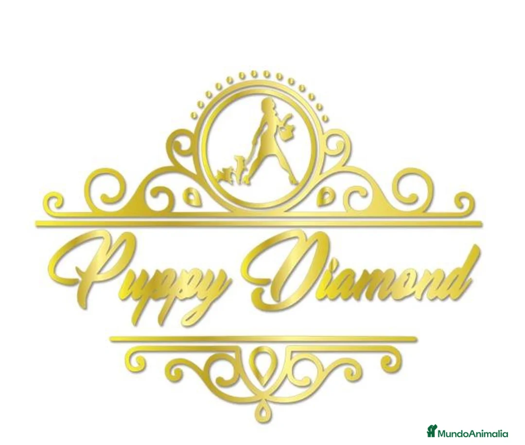 Imagen de galería {{count}}