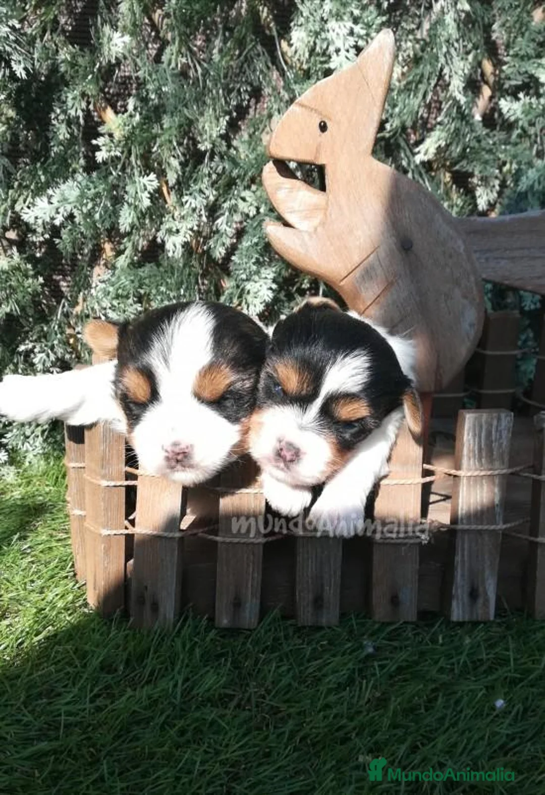 Imagen de galería {{count}}