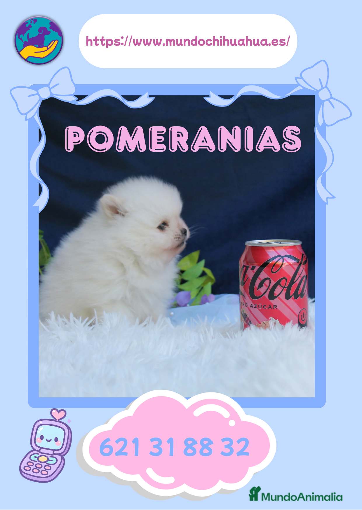 Pomerania perros Preciosos pomerania enano 🧸✨ - Anuncio 1