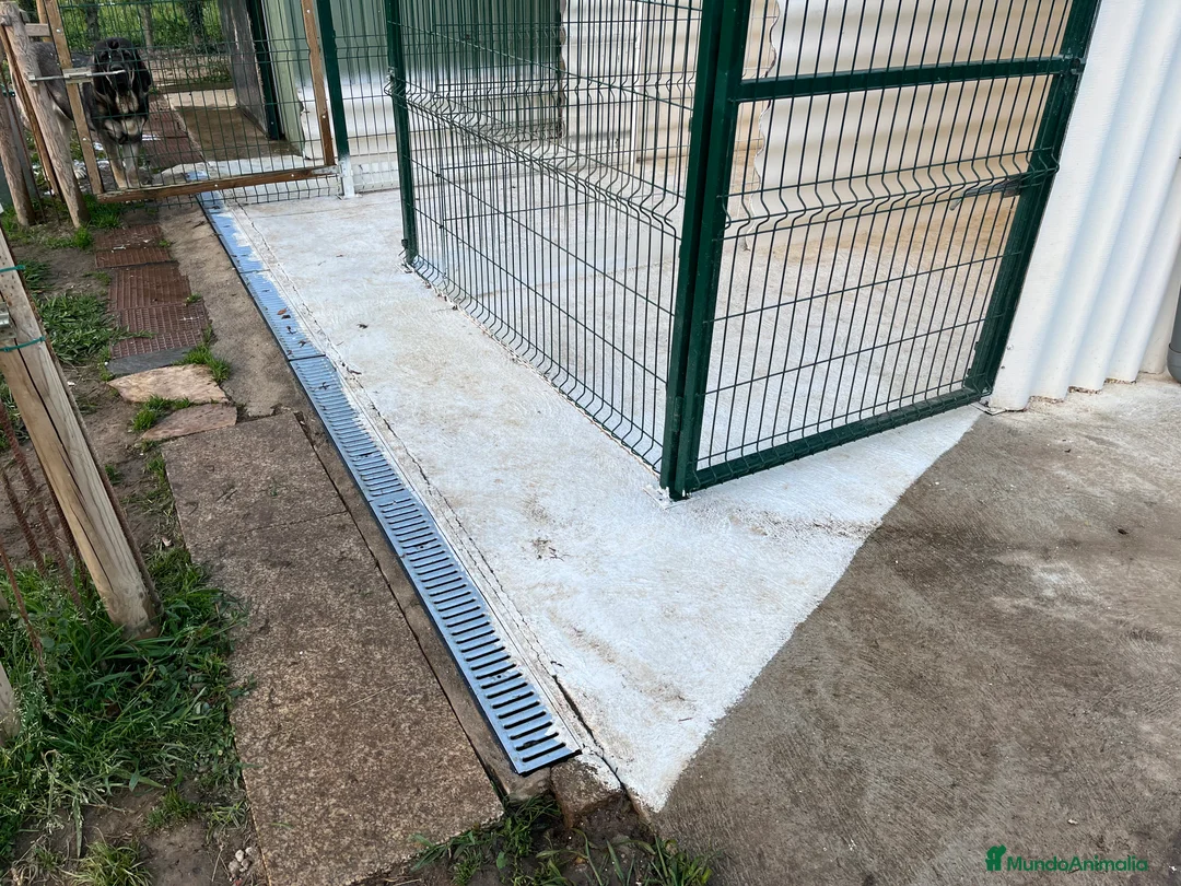 Imagen de galería {{count}}