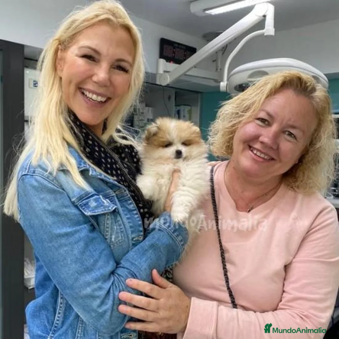 Imagen de galería {{count}}