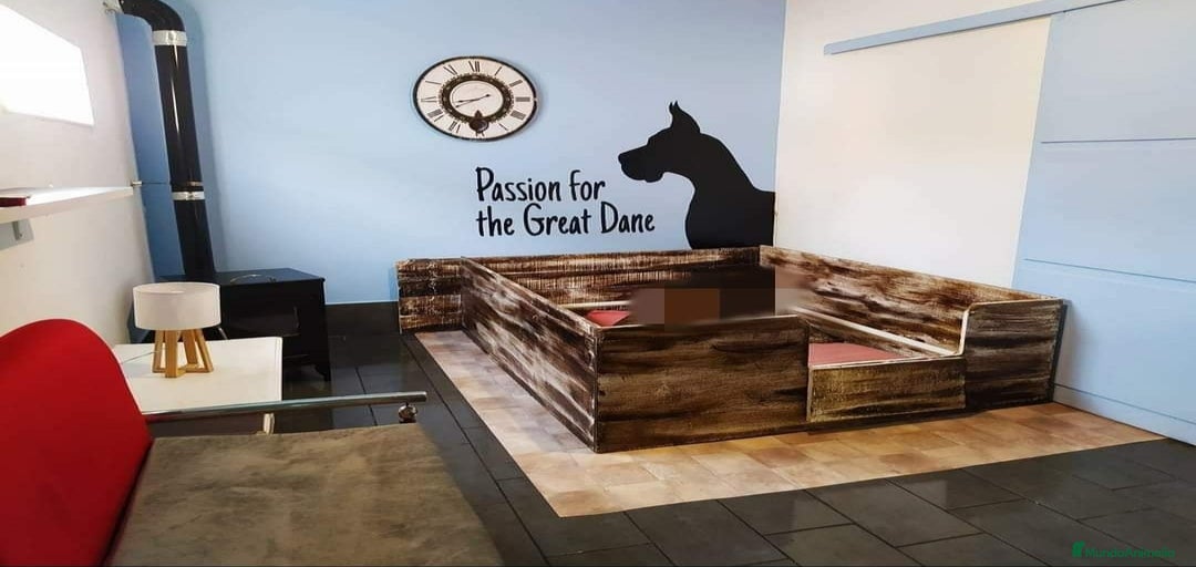 Imagen de galería {{count}}