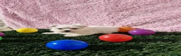 Bichón Maltés perros en venta: Bichón maltés - Anuncio 6