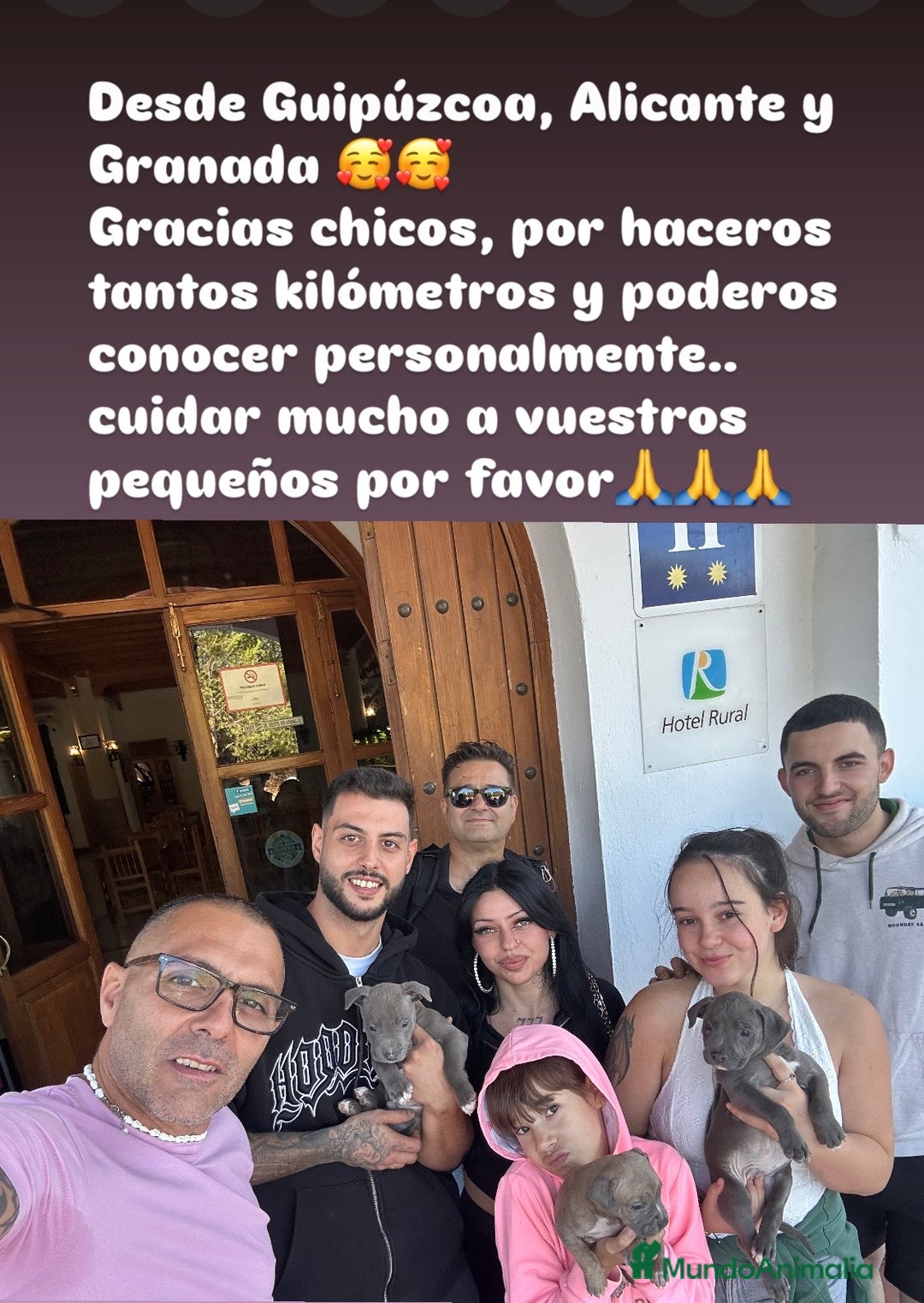 American Staffordshire-Terrier perros en venta: American Stanford, mis pequeños - Imagen 7