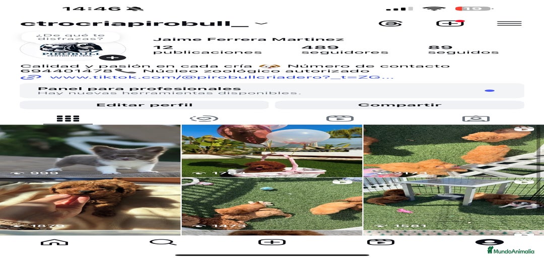 Imagen de galería {{count}}