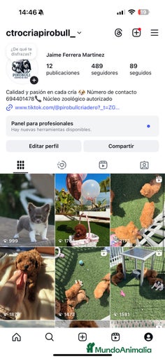 Imagen de galería {{count}}