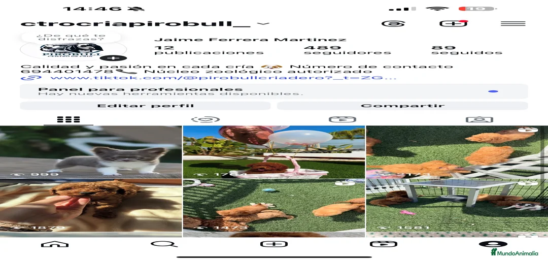 Imagen de galería {{count}}