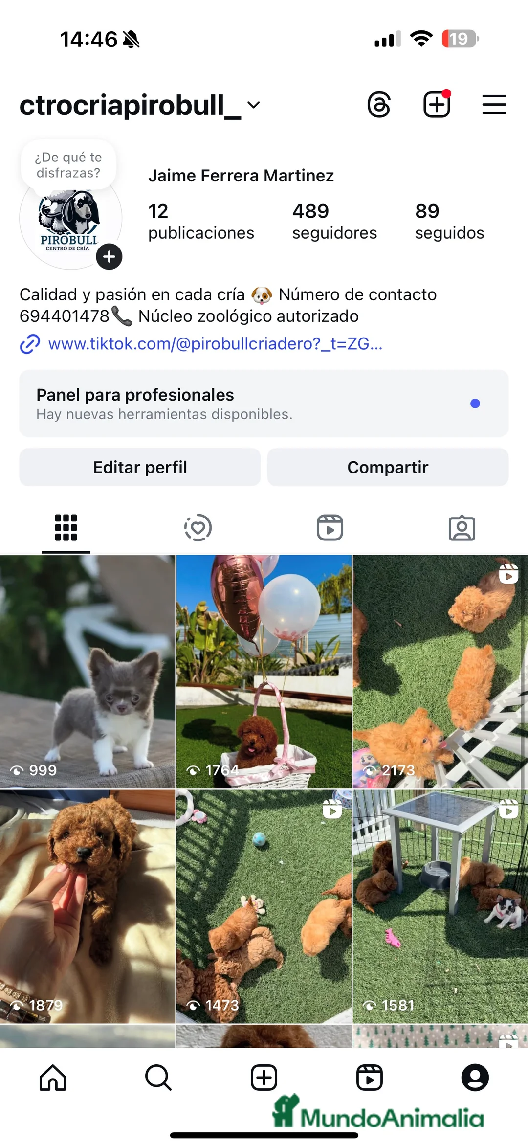 Imagen de galería {{count}}