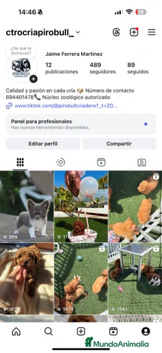 Imagen de galería {{count}}