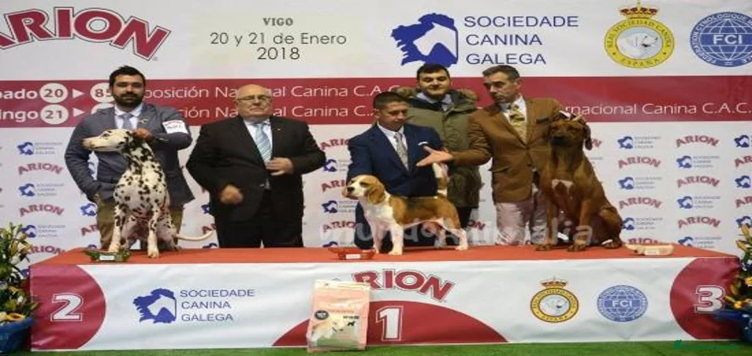 Imagen de galería {{count}}