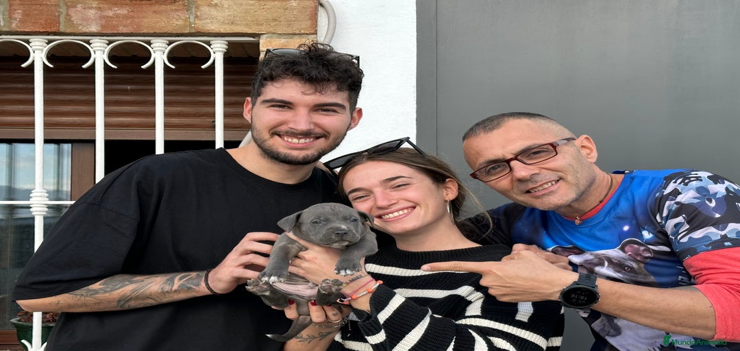 Imagen de galería {{count}}