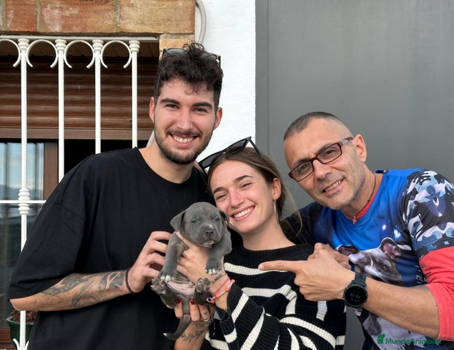 Imagen de galería {{count}}