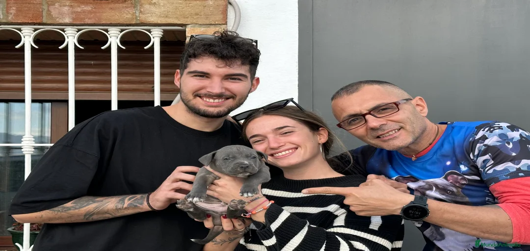 Imagen de galería {{count}}