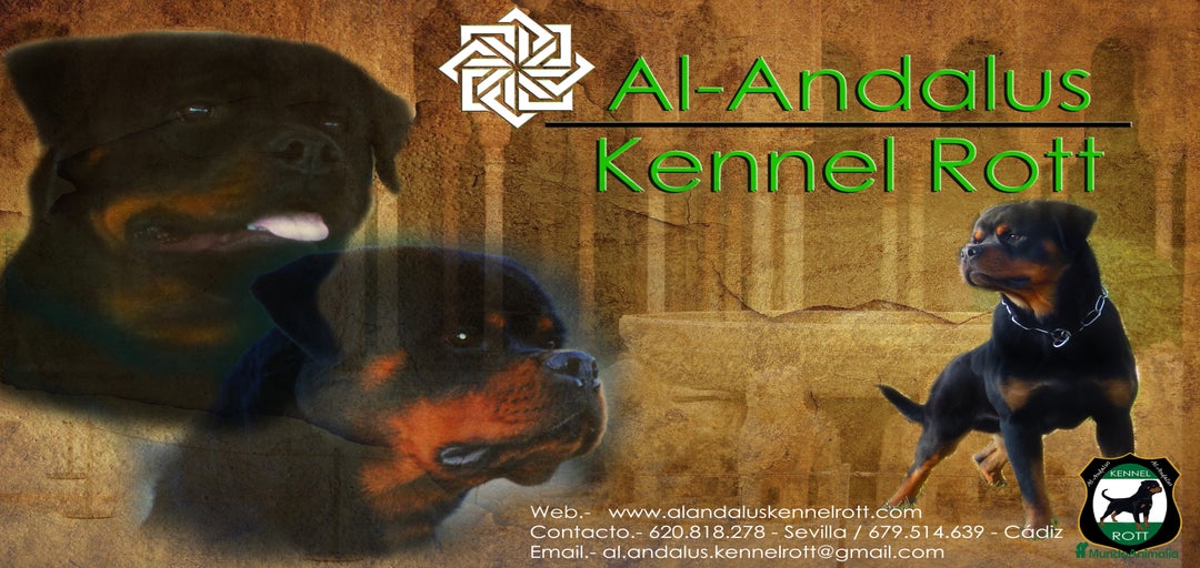 Imagen de galería {{count}}