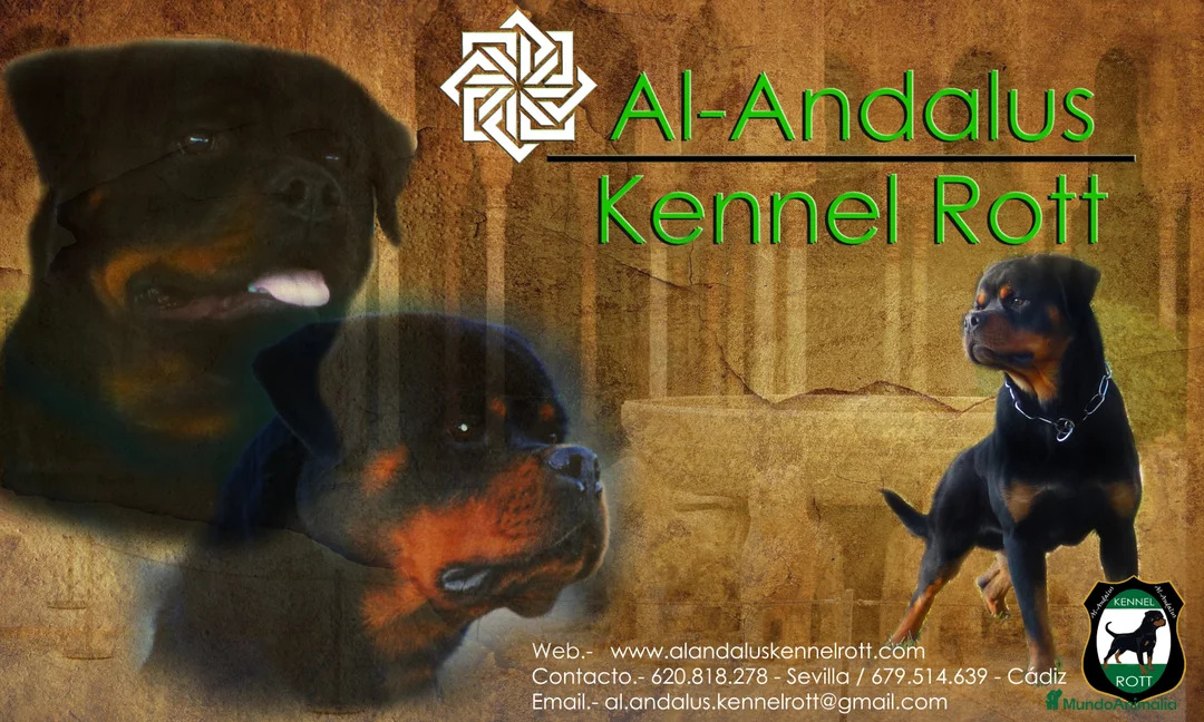 Imagen de galería {{count}}