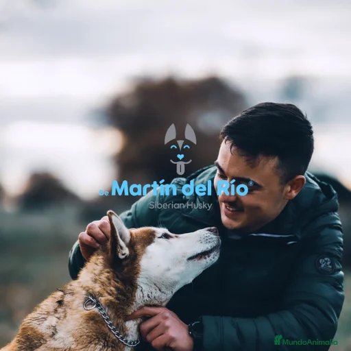 Imagen de galería {{count}}